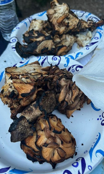 Shrooms Cooked