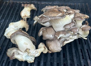 Shrooms Grilling