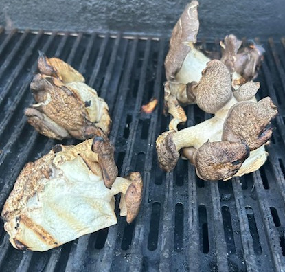 Shrooms Grilling